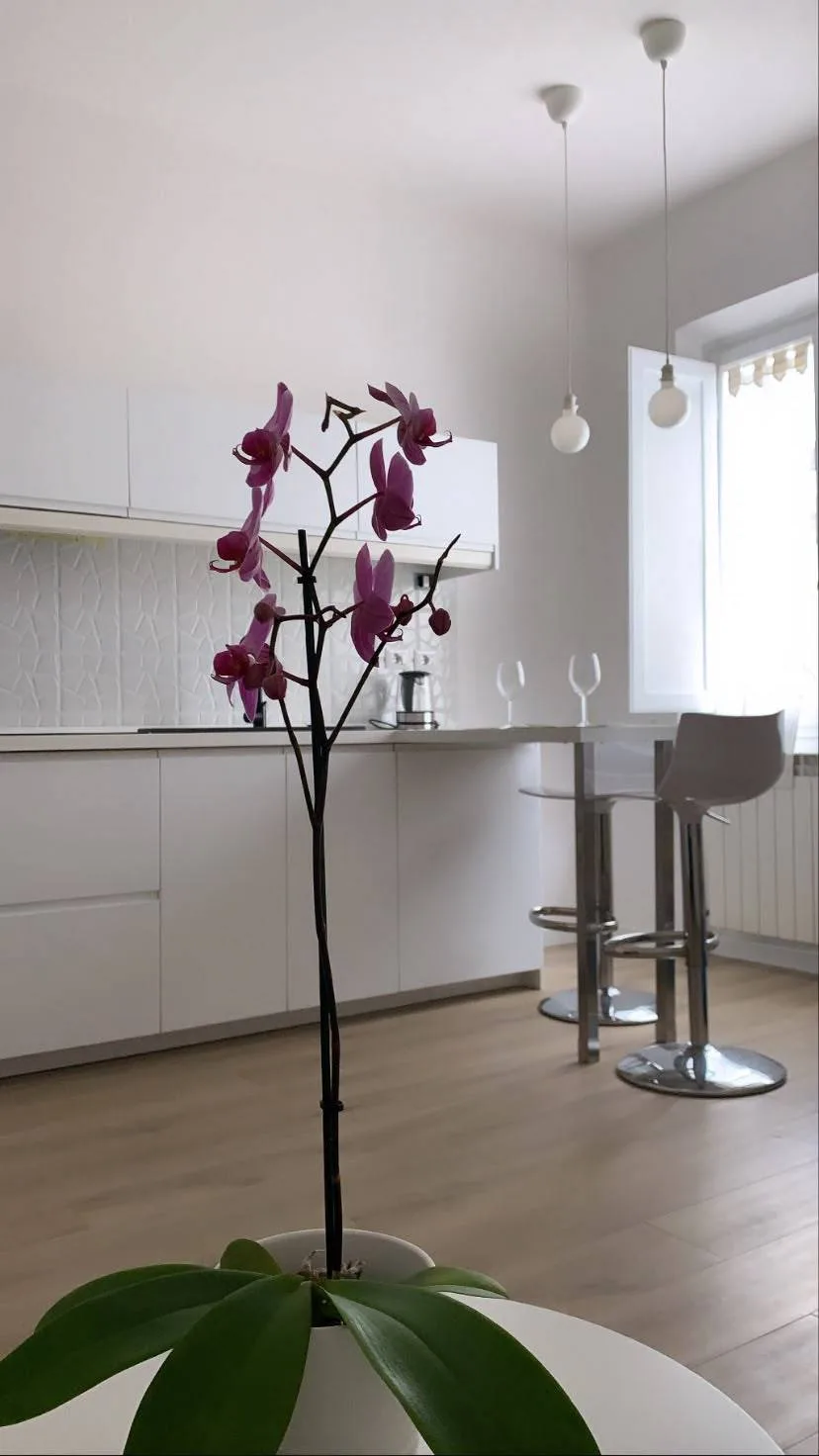 Bilocale arredato con terrazzo – Porta al Prato